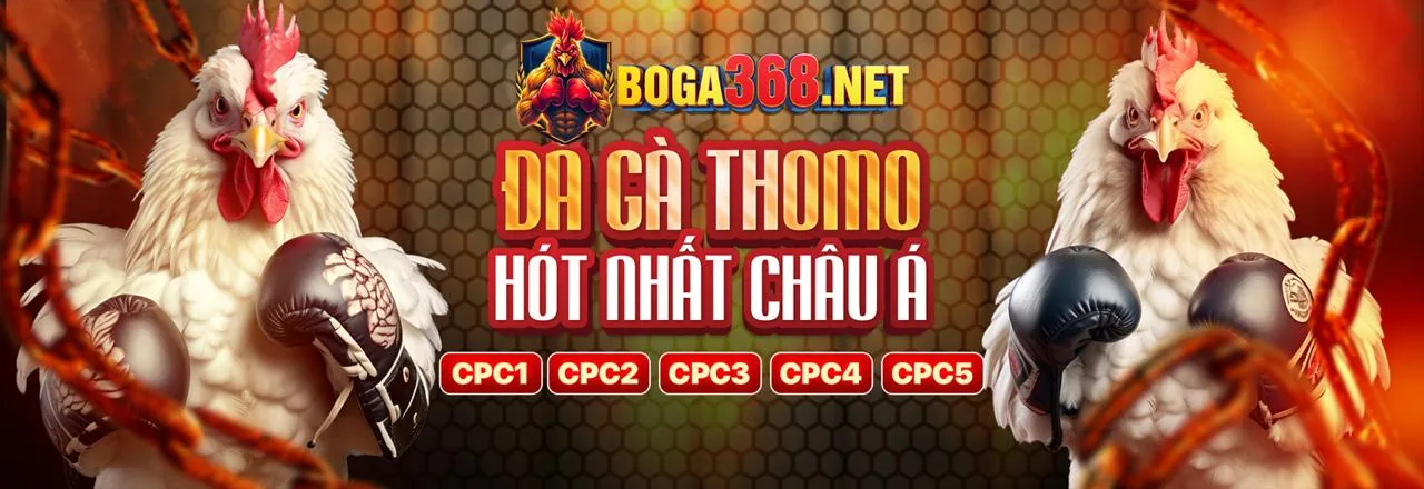 Hình ảnh chính Slot Games dg5566